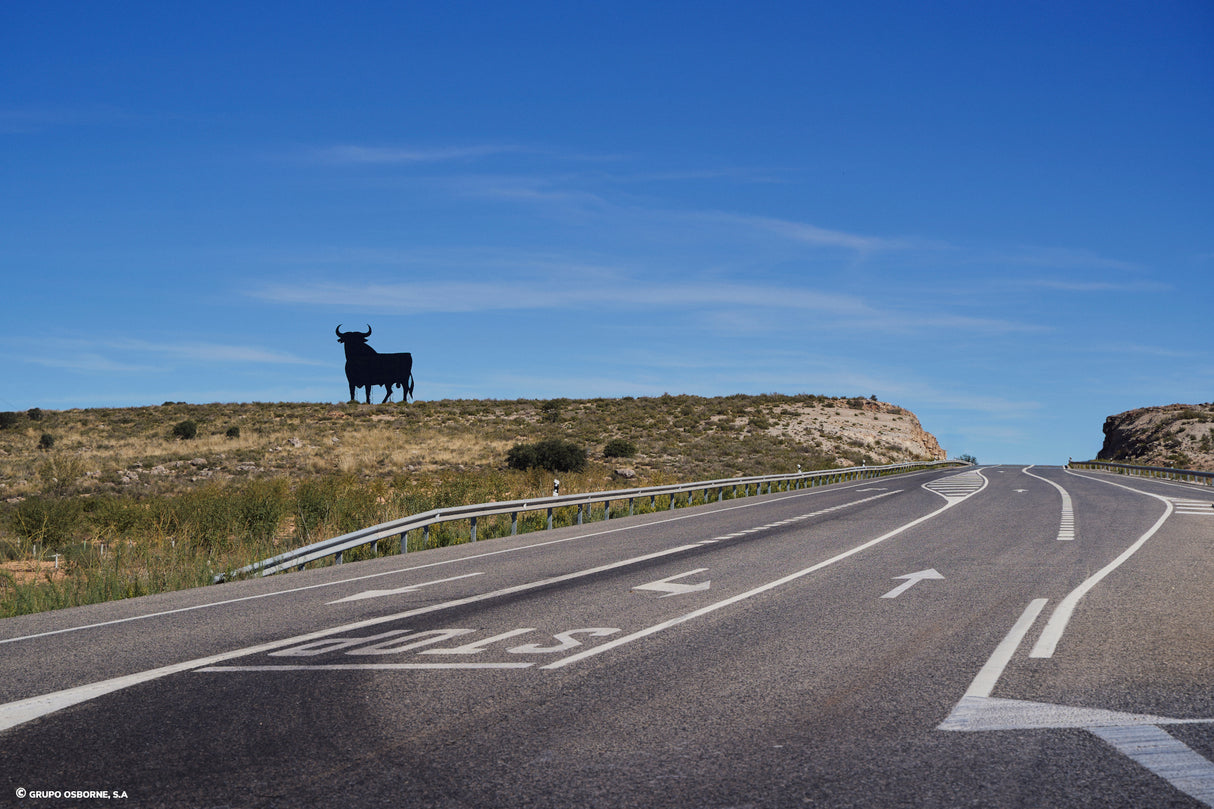 Valla del Toro Castillejo de Iniesta – Cuenca